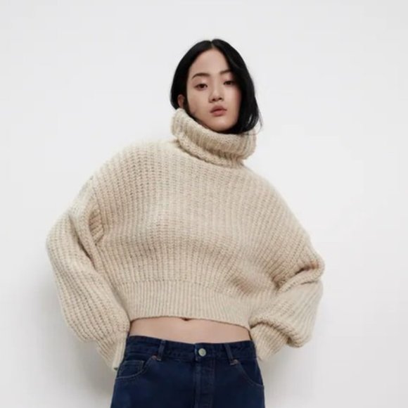 Zara Sweaters - Zara High Neck Knit Sweater